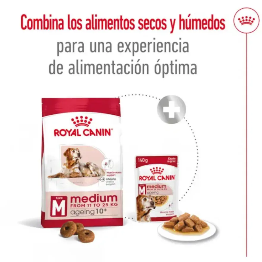 Royal Canin Medium 10+ Ageing pienso para perros senior