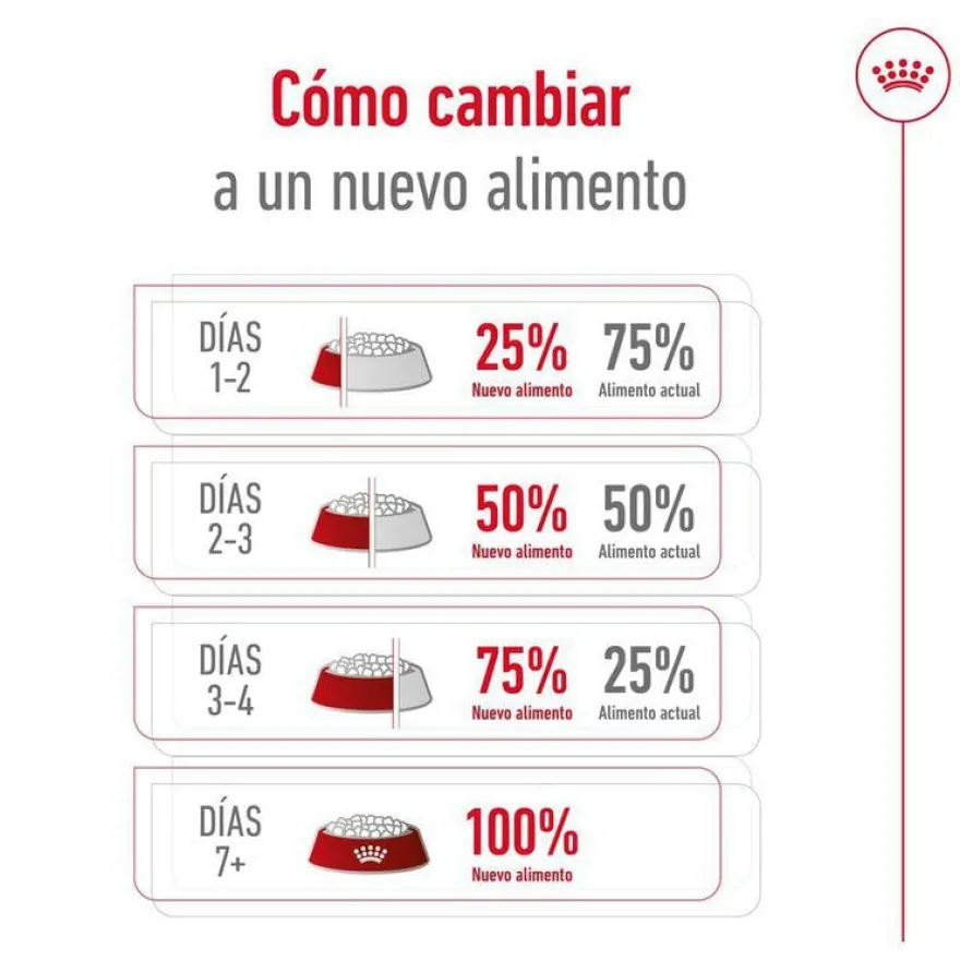 Royal Canin Medium 10+ Ageing pienso para perros senior