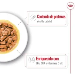 Royal Canin Medium Ageing sobre en salsa para perros senior