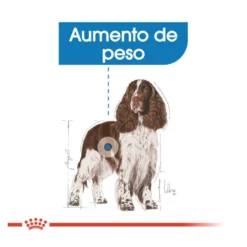 Royal Canin Medium Light Weight Care pienso para perros