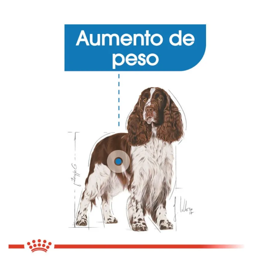 Royal Canin Medium Light Weight Care pienso para perros