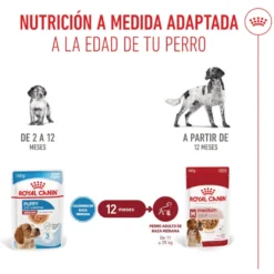 Royal Canin Medium Puppy Sobres para perros