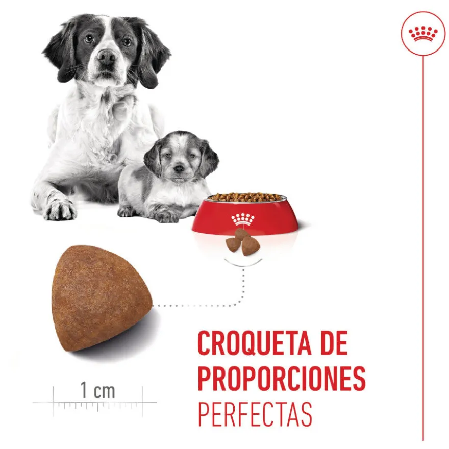 Royal Canin Medium Starter Mother&Baby pienso para perros
