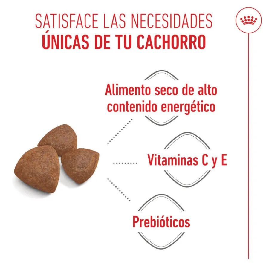 Royal Canin Medium Starter Mother&Baby pienso para perros