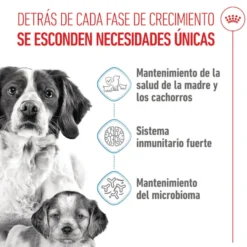 Royal Canin Medium Starter Mother&Baby pienso para perros