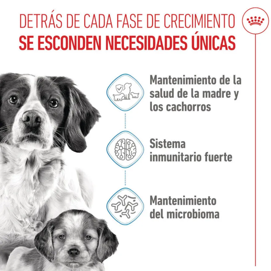 Royal Canin Medium Starter Mother&Baby pienso para perros