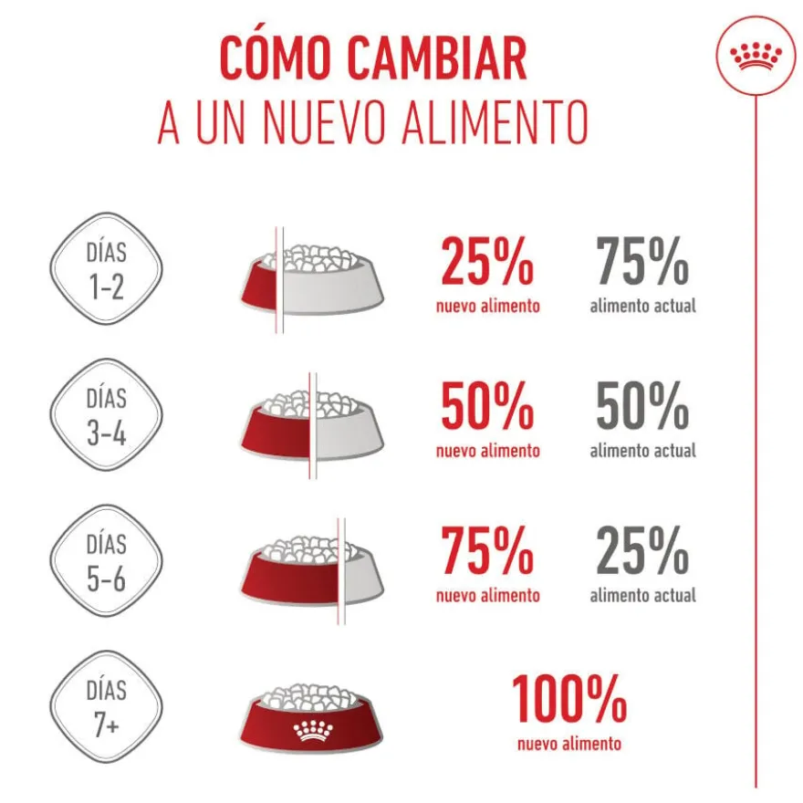Royal Canin Medium Starter Mother&Baby pienso para perros