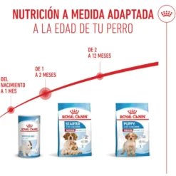 Royal Canin Medium Starter Mother&Baby pienso para perros