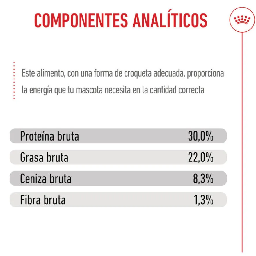 Royal Canin Medium Starter Mother&Baby pienso para perros
