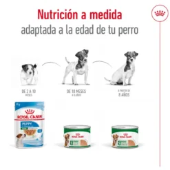 Royal Canin Mini Adult Paté lata para perros