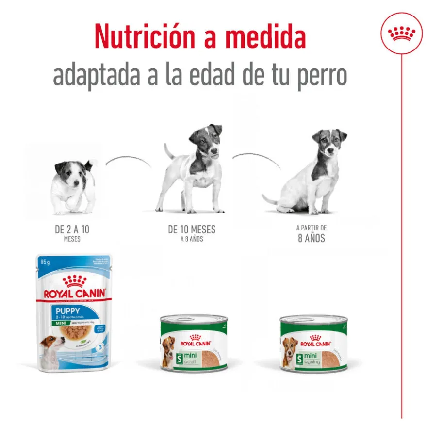 Royal Canin Mini Adult Paté lata para perros