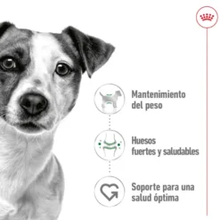 Royal Canin Mini Adult Paté lata para perros
