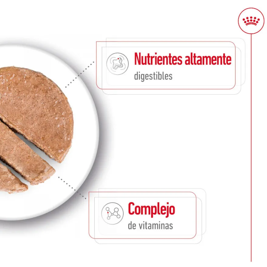 Royal Canin Mini Adult Paté lata para perros