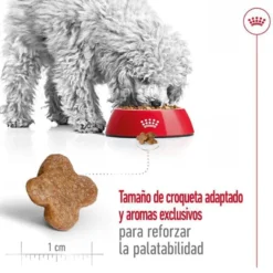 Royal Canin Mini 8+ Adult pienso para perros