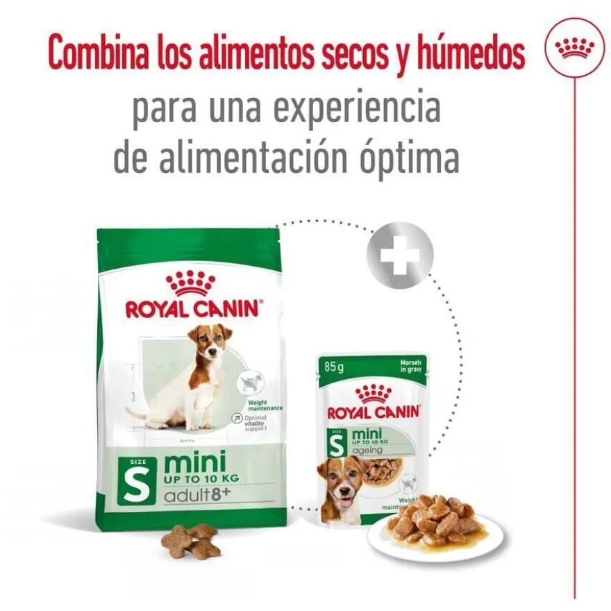 Royal Canin Mini 8+ Adult pienso para perros