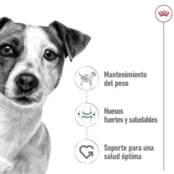 Royal Canin Mini Adult sobre en salsa para perros