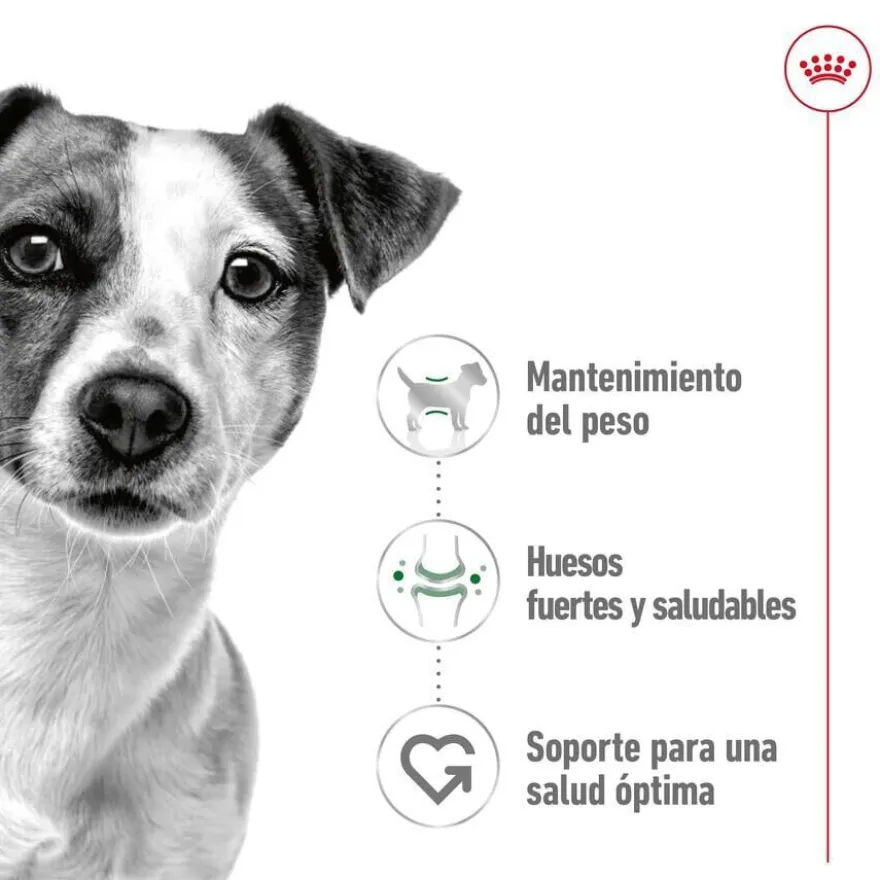 Royal Canin Mini Adult sobre en salsa para perros