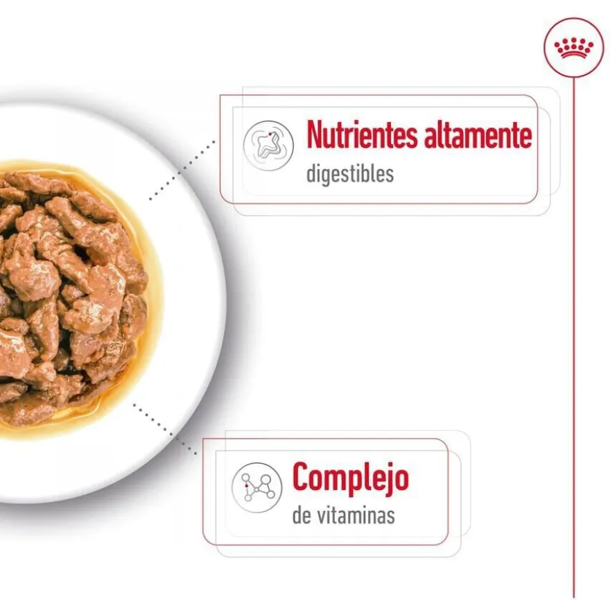 Royal Canin Mini Adult sobre en salsa para perros