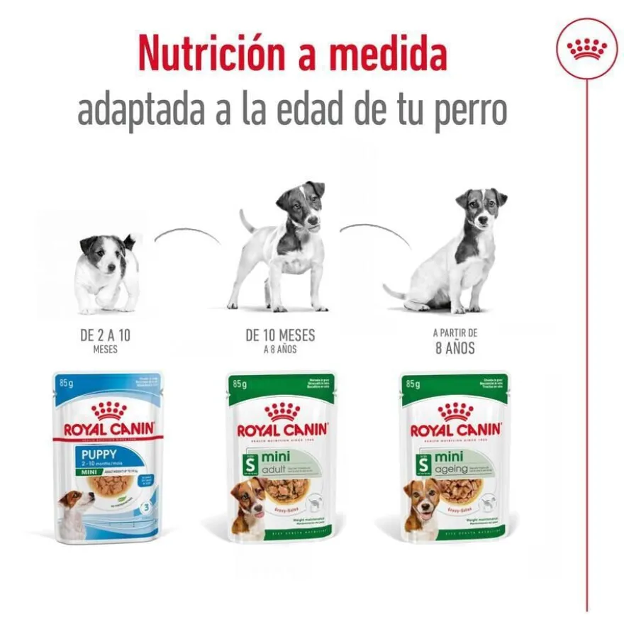 Royal Canin Mini Adult sobre en salsa para perros