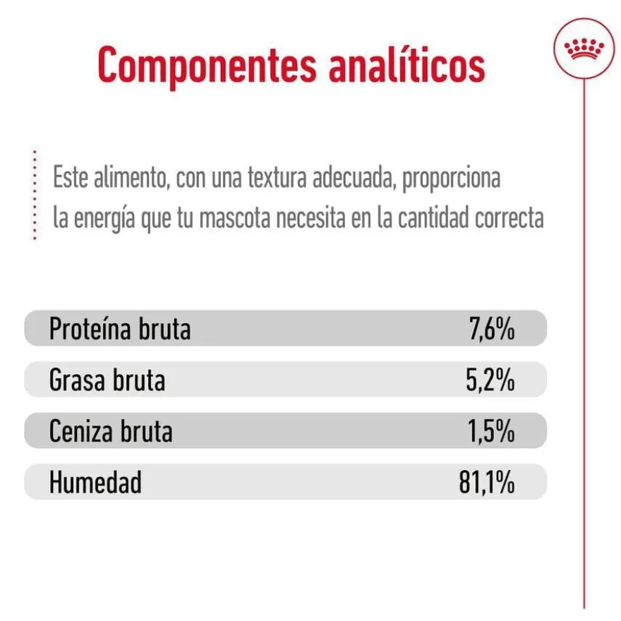 Royal Canin Mini Adult sobre en salsa para perros