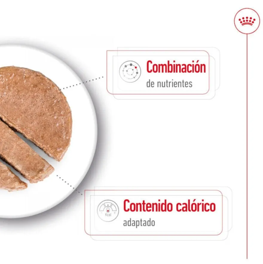 Royal Canin Mini 8+ Ageing lata para perros senior