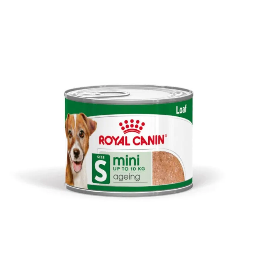 Royal Canin Mini 8+ Ageing lata para perros senior