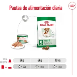 Royal Canin Mini 8+ Ageing lata para perros senior