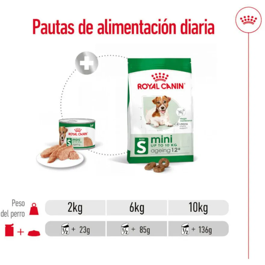 Royal Canin Mini 8+ Ageing lata para perros senior