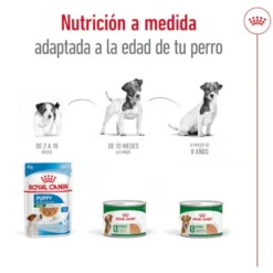 Royal Canin Mini 8+ Ageing lata para perros senior