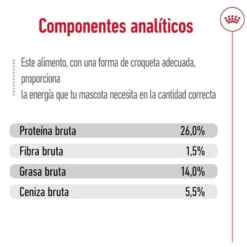 Royal Canin Mini Ageing 12+ pienso para perros senior