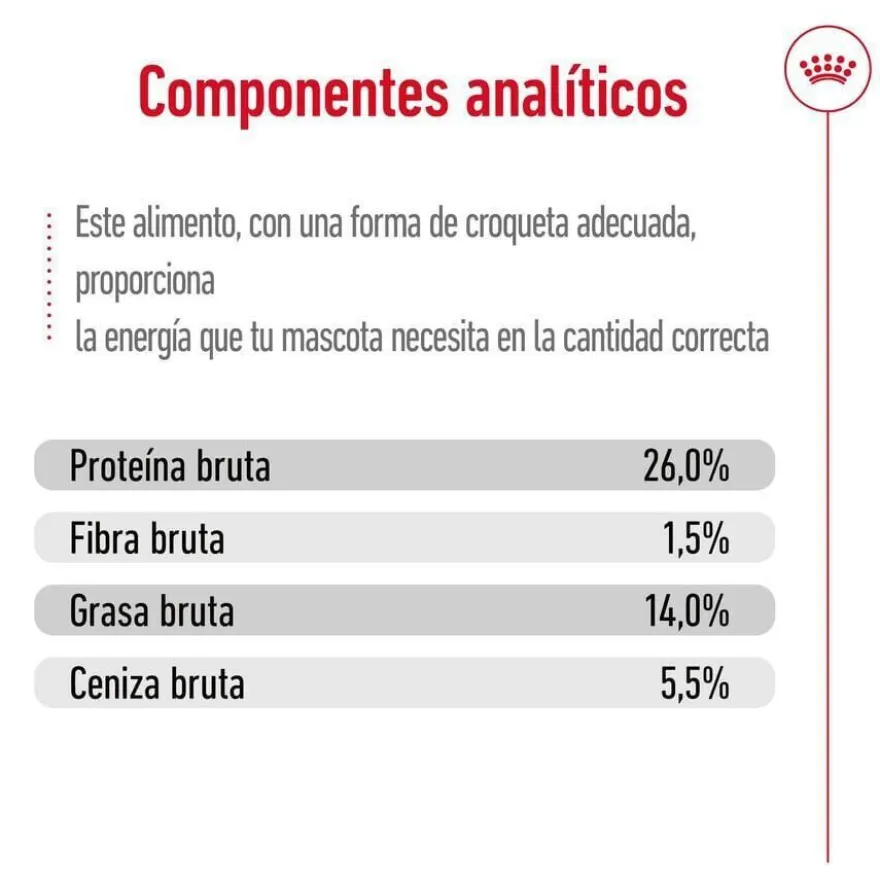 Royal Canin Mini Ageing 12+ pienso para perros senior