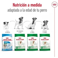 Royal Canin Mini Ageing 12+ pienso para perros senior