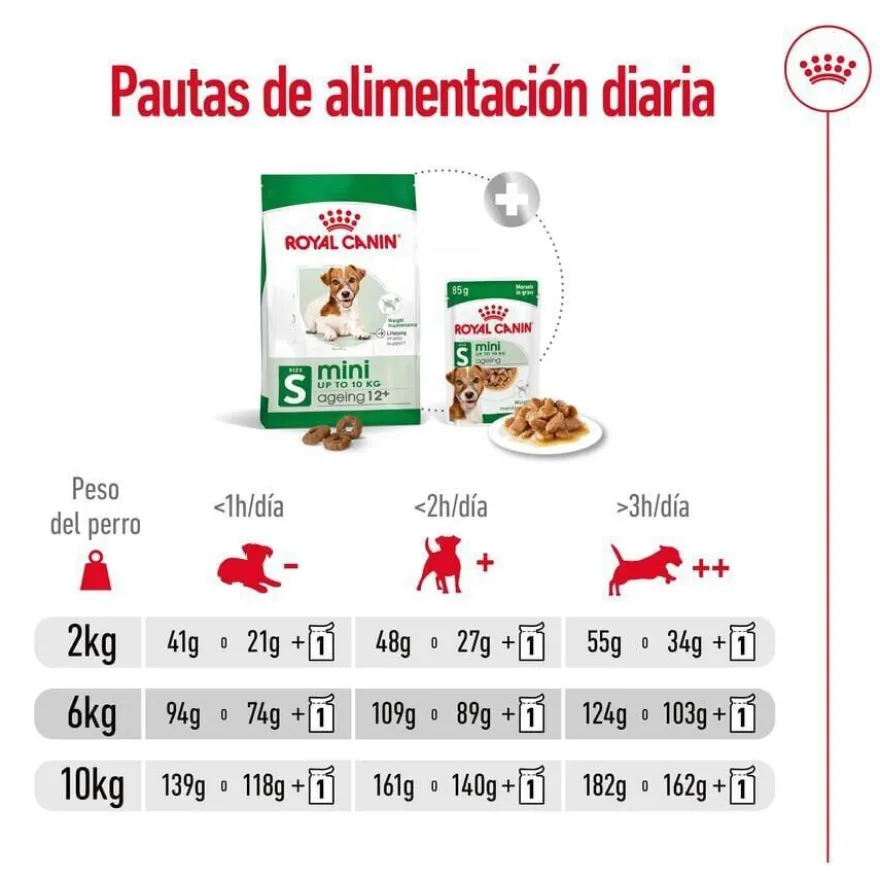 Royal Canin Mini Ageing 12+ pienso para perros senior