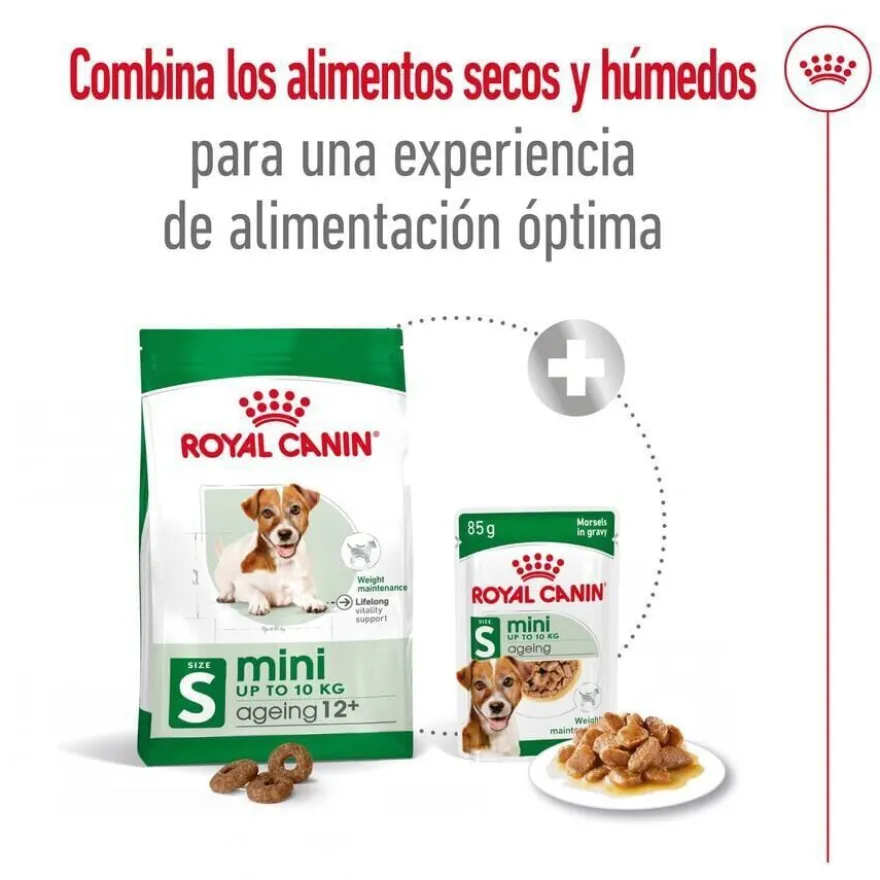 Royal Canin Mini Ageing 12+ pienso para perros senior