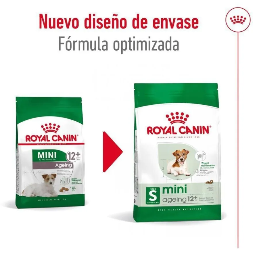 Royal Canin Mini Ageing 12+ pienso para perros senior