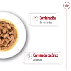 Royal Canin Mini Ageing sobres en salsa para perros senior