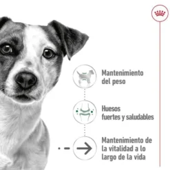 Royal Canin Mini Ageing sobres en salsa para perros senior