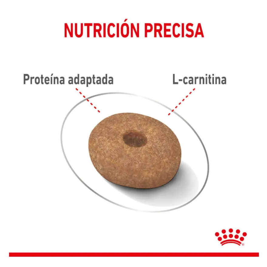 Royal Canin Mini Light Weight Care pienso para perros