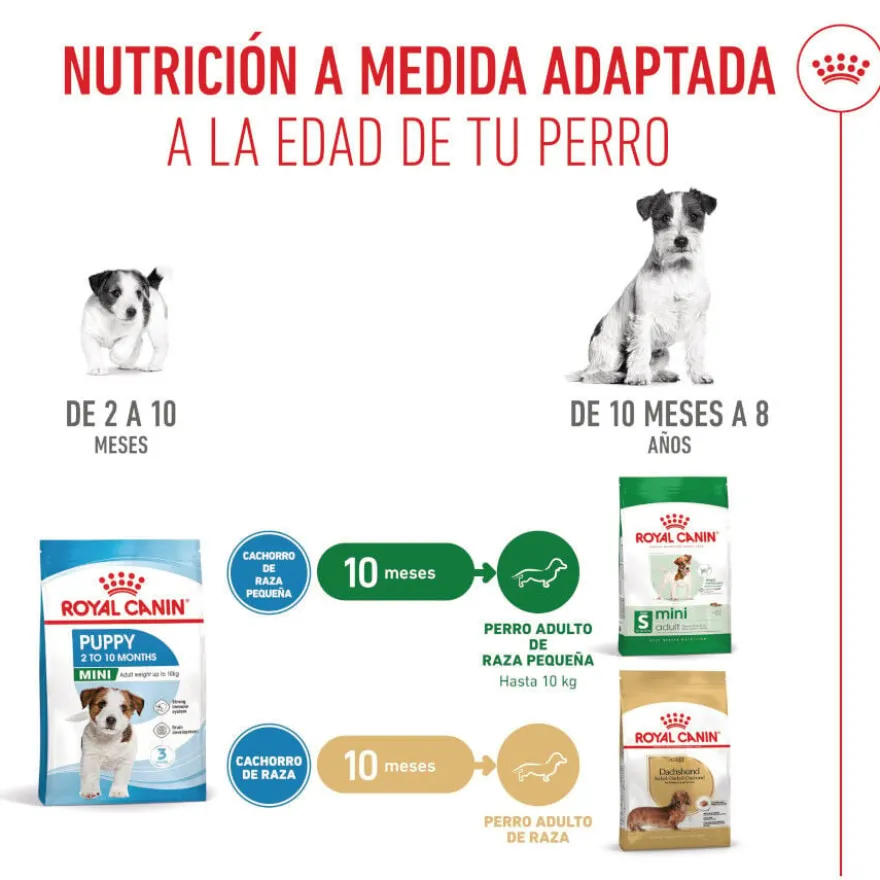 Royal Canin Mini Puppy pienso para perros