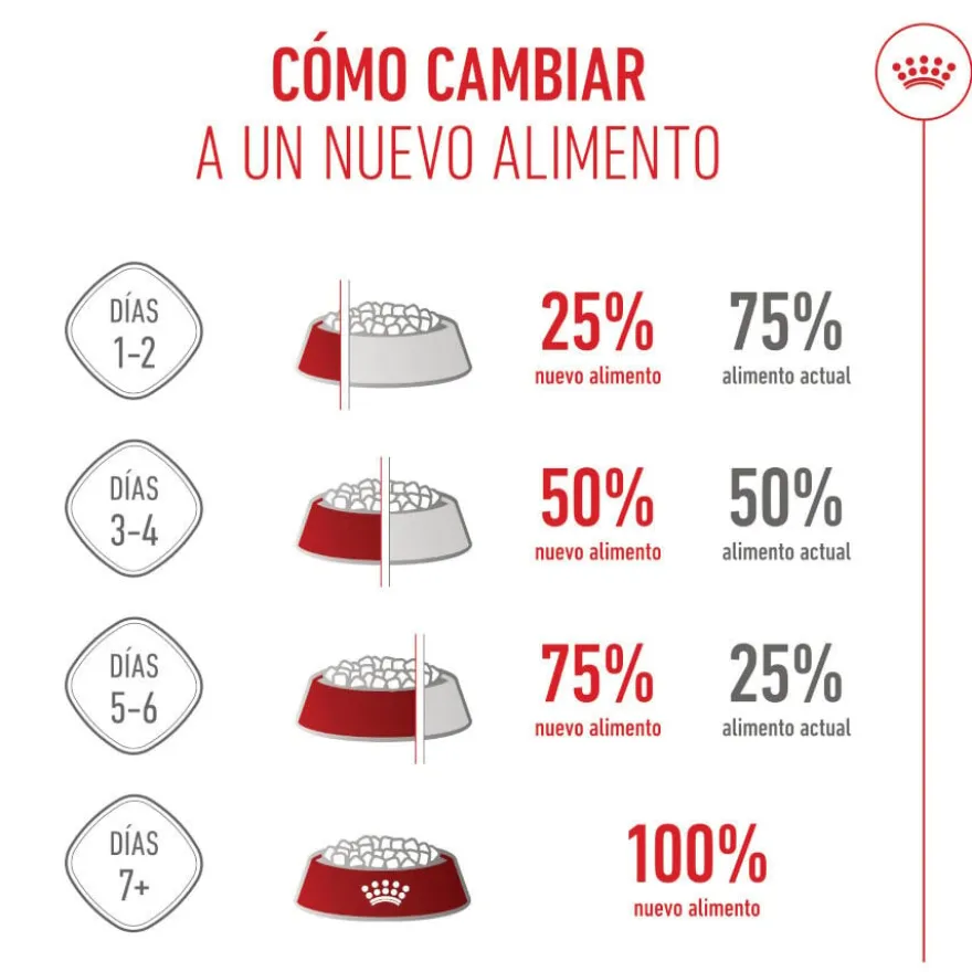 Royal Canin Mini Puppy pienso para perros