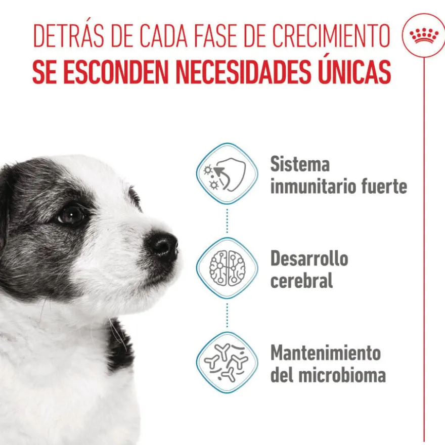 Royal Canin Mini Puppy pienso para perros