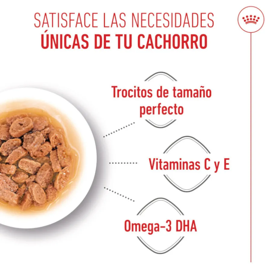 Royal Canin Mini Puppy sobre en salsa