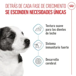 Royal Canin Mini Puppy sobre en salsa