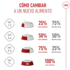 Royal Canin Mother & Babycat pienso para gatos