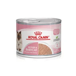 Royal Canin Mother & Baby mousse latas para gatos