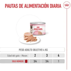 Royal Canin Mother & Baby mousse latas para gatos