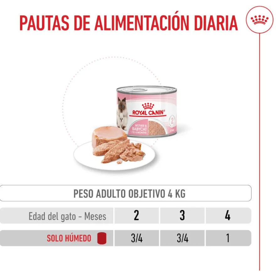 Royal Canin Mother & Baby mousse latas para gatos
