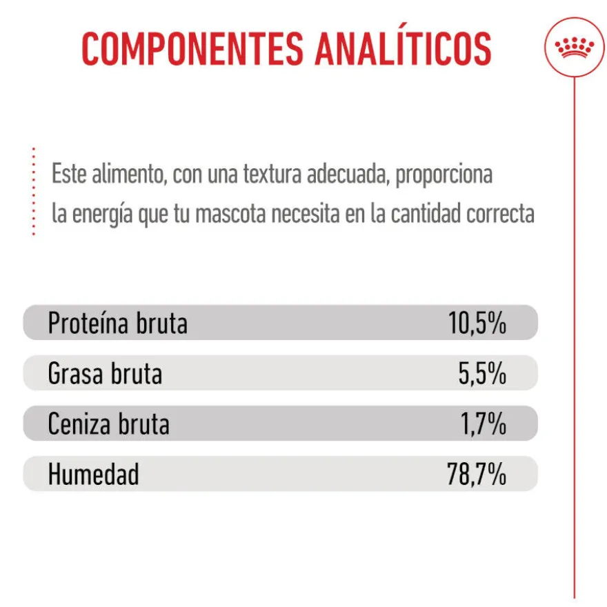 Royal Canin Mother & Baby mousse latas para gatos