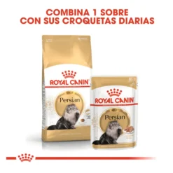 Royal Canin Persian pienso para gato adulto persa