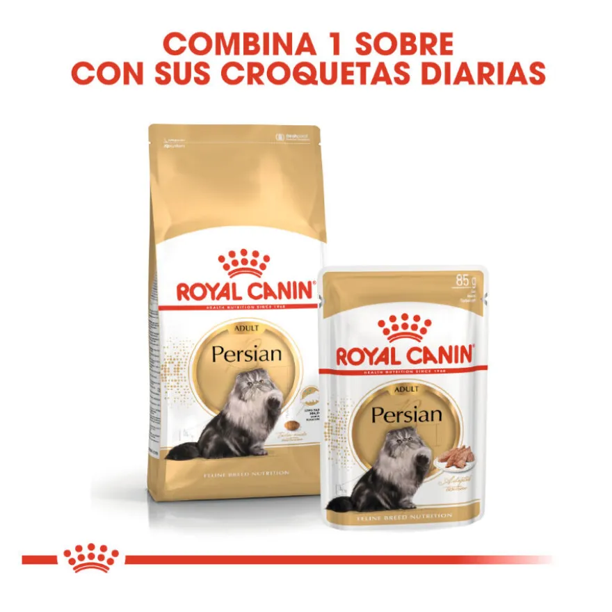 Royal Canin Persian pienso para gato adulto persa